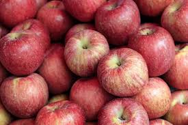 Fresh Apples